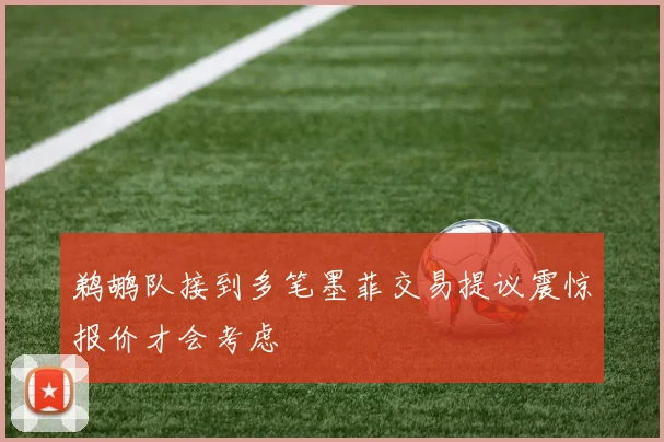 鹈鹕队接到多笔墨菲交易提议震惊报价才会考虑