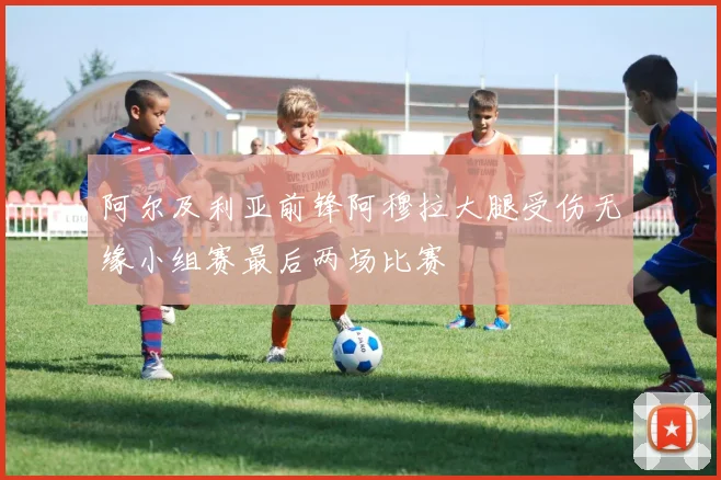 阿尔及利亚前锋阿穆拉大腿受伤无缘小组赛最后两场比赛