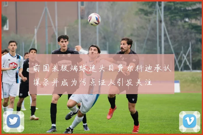 前国米极端球迷头目费尔科迪承认谋杀并成为污点证人引发关注